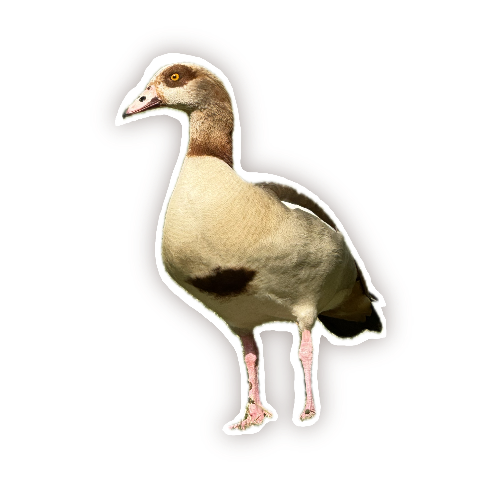 Goose sticker